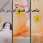 أم شامبو
